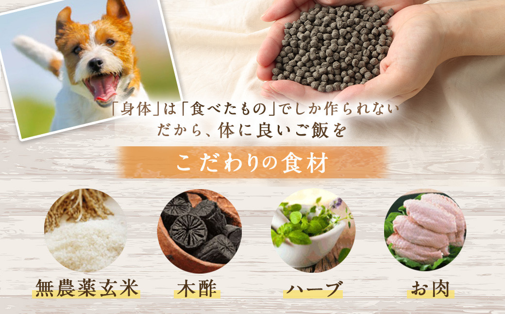 ＜1歳までの愛犬用お試しセット＞