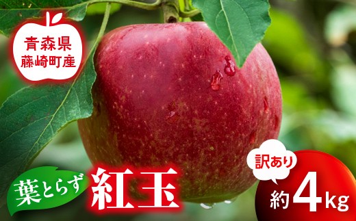 
                  【先行予約】≪訳あり≫ 葉とらず 紅玉 約4kg【グランドアップル】 青森りんご リンゴ 林檎 アップル 果物 くだもの フルーツ 家庭用 わけあり ワケアリ F41-0033
                