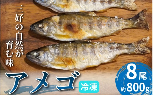川魚 あめご 8尾 800g 前後 天魚 アマゴ 魚 魚介 塩焼き 唐揚げ アウトドア バーベキュー BBQ キャンプ 国産 酒 ビール おつまみ 弁当 惣菜 おかず 冷凍 徳島県 三好市 みよし miyoshi