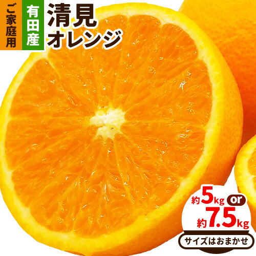 【ふるさと納税】【先行予約】【産直】有田産 清見オレンジ ご家庭用 訳あり 選べる内容量 約5kg 約7.5kg サイズおまかせ または 混合 日高町厳選館《2026年2月中旬-3月末頃出荷》和歌山県 日高町 柑橘 果物 フルーツ 清見 オレンジ 清見オレンジ 有田産