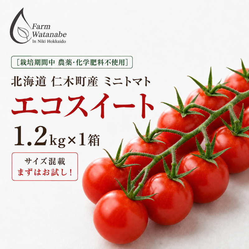 2027年発送 先行受付[栽培期間中 農薬・化学肥料不使用] 北海道 仁木町産 ミニトマト エコスイート 1.2kg×1箱 サイズ混載 トマト 野菜 [Farm Watanabe]