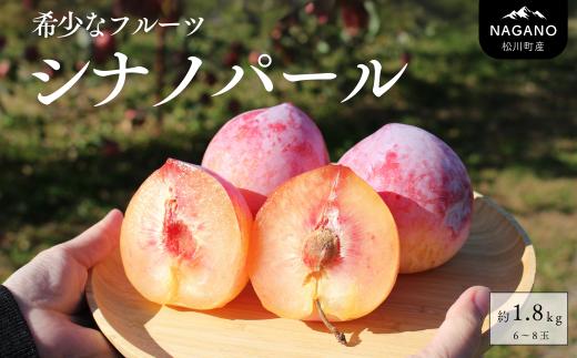 
            KP03-25A 高級プラム シナノパール 約1.8kg（6～9玉）贈答 / 2025年9月中旬頃〜発送予定 // 長野県 南信州 松川町産 プラム すもも スモモ 高級フルーツ 希少 産地直送 農家直送 新鮮 数量限定 2kg
          