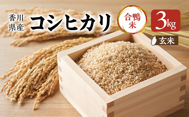 香川県産コシヒカリ（自然農法 合鴨米 3kg）玄米 お米 