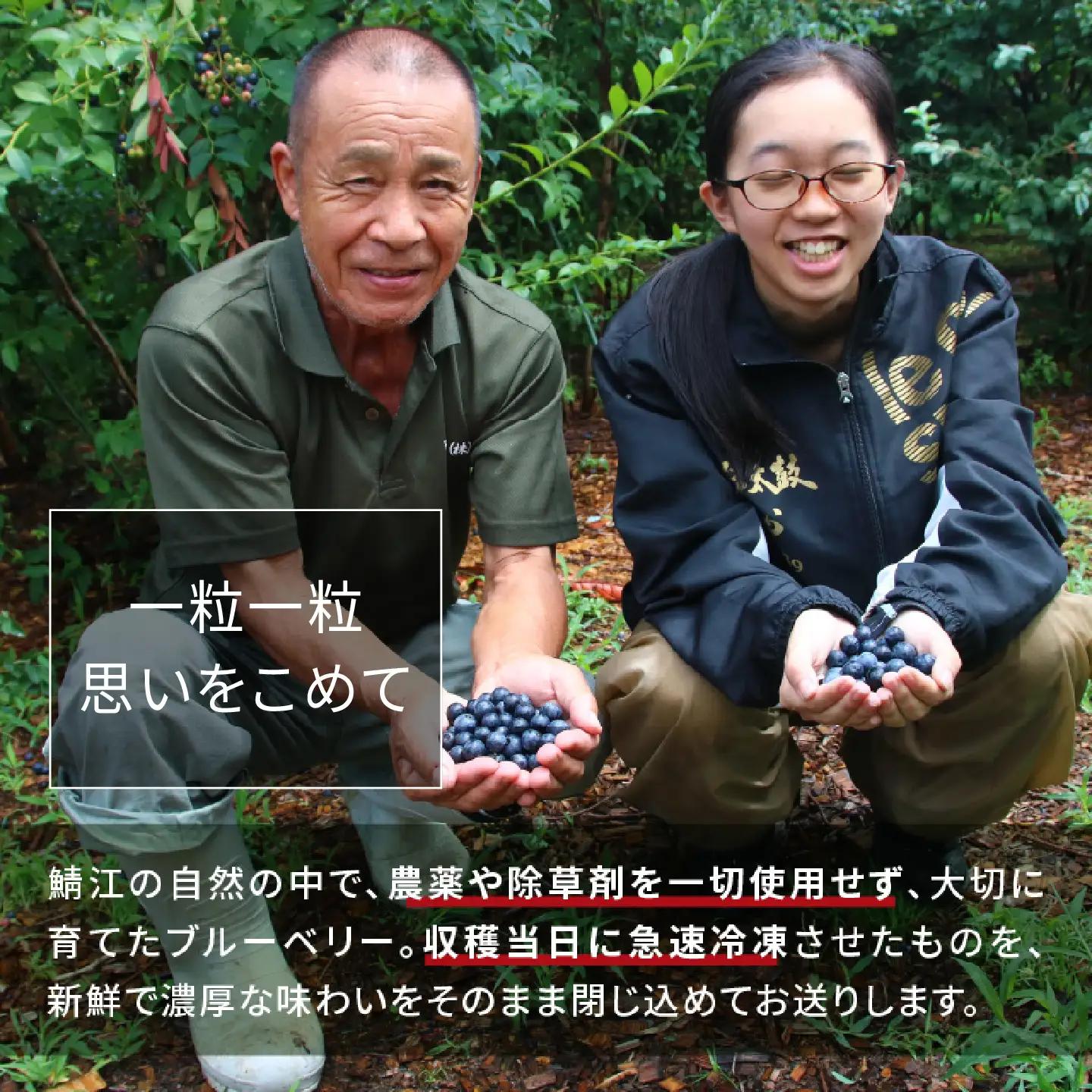 【訳あり】令和8年産〈冷凍〉手摘み有機ブルーベリー500g（500g × 1パック）果物 夏限定