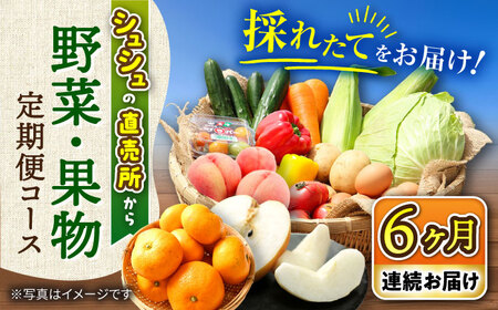 野菜定期便 6回 大村産野菜 果物 [ACAA165]