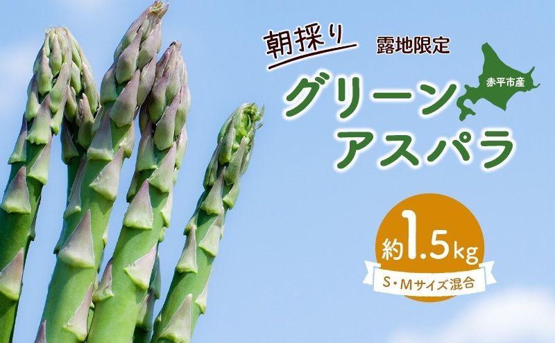 アスパラ 北海道 約1.5kg！朝採り 露地限定グリーンアスパラ（M・Sサイズ混合）［ほりぐち農園］※2027年5月中旬出荷開始先行予約  野菜 アスパラガス 旬 とれたて お取り寄せ 産地直送 