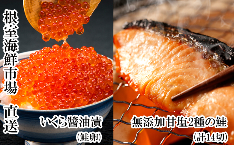 根室海鮮市場＜直送＞無添加天然甘塩紅鮭10切、秋鮭4切、いくら醤油漬け(鮭卵)70g×1P A-28088
