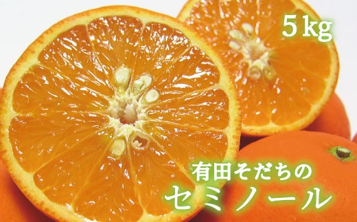 
                  有田育ちの爽快セミノールオレンジ(ご家庭用)　約5kg+200g(補償分)　【2027年4月上旬～5月下旬頃に順次発送予定】【ard025B】
                
