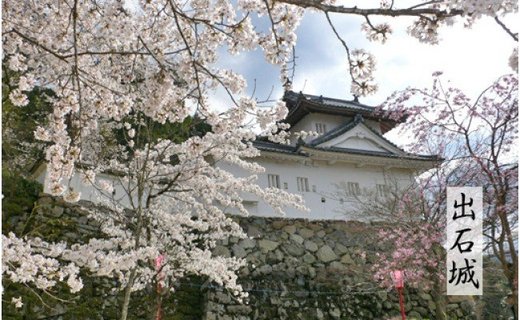 【出石そば】12人前（半生麺）つゆ付き お歳暮 年越しそば