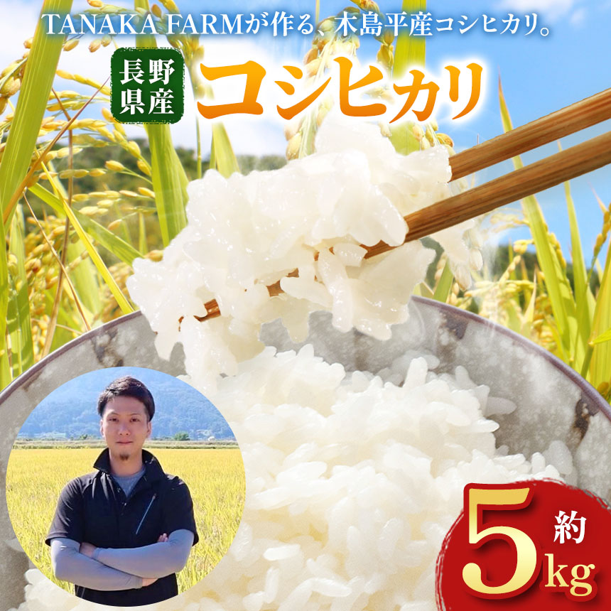 木島平産 コシヒカリ 約5kg | 米 こしひかり コシヒカリ 定番 品種  寒暖差 木島平村 長野県 信州 コシヒカリ