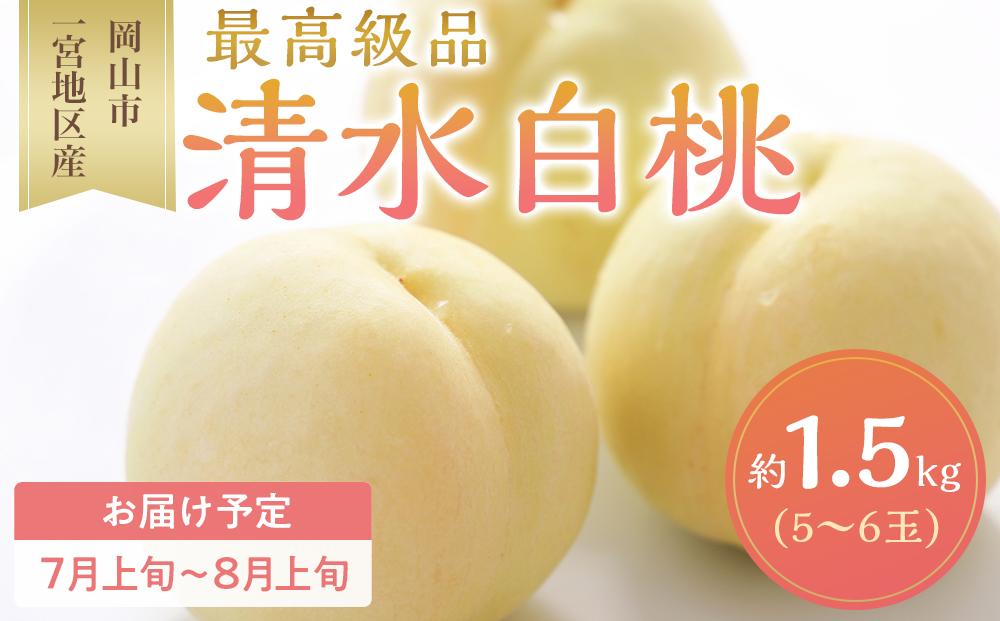 桃 2024年 先行予約 清水 白桃 5～6玉入 約1.5kg 岡山市一宮地区産 もも モモ フルーツ 果物 ギフト[No.5220-0287]