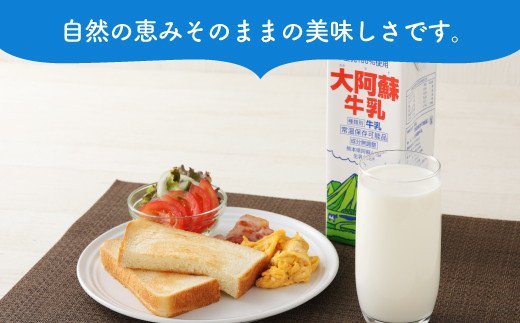 大阿蘇 牛乳 1L×6本 計6L 紙パック ミルク 成分無調整牛乳 生乳