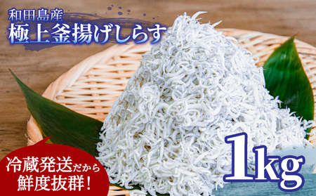 釜揚げ しらす 1kg 国産 徳島県産 和田島産 とれたて 新鮮 産地直送 冷蔵 発送 小分け 250g 4袋 セット 和田島しらす ちりめん 魚介類 魚 小魚 【北海道・東北・沖縄・離島への配送不可