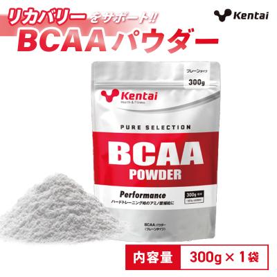 ふるさと納税 伊豆市 【健康体力研究所】BCAAパウダー(300g×1袋)| アミノ酸 補給 筋肉 サポート