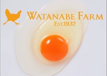 [平飼い卵食べ比べ] 平飼い有精卵あかり・平飼い卵いろは 各15個 合計30個｜矢板市産 こだわり卵 たまご 玉子 生卵 鶏卵 [0432]