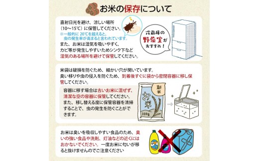 津軽のお米 令和７年産 5kg ＆ 季節の野菜詰合せ 【中泊町特産物直売所ピュア】旬の野菜 旬野菜 旬 新鮮 食品 グルメ  野菜 美味しい 甘い おいしい サラダ 白米 精米 米 お米 おこめ コメ 東北 青森県 中泊町 F6N-039