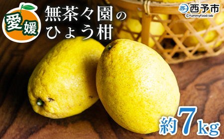  ＜無茶々園のひょう柑 約7kg＞ 【先行予約】フルーツ 果物 蜜柑 柑橘 ひょうかん 弓削瓢柑 期間限定 季節限定 特産品 愛媛県 西予市【常温】『2024年4月～5月上旬迄に順次出荷予定』AMC0023