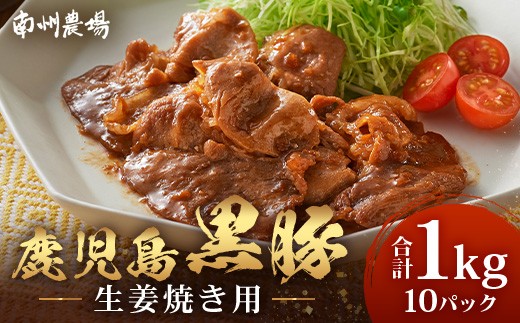 鹿児島県産 黒豚生姜焼きセット 100g×10パック 味付き肉 冷凍 NS-23 | 鹿児島 黒豚 かごしま黒豚 お肉 肉 豚肉 しょうが焼き 焼くだけ 味付き おかず お弁当 加工肉 真空パック 鹿児島県 南大隅町 南州農場