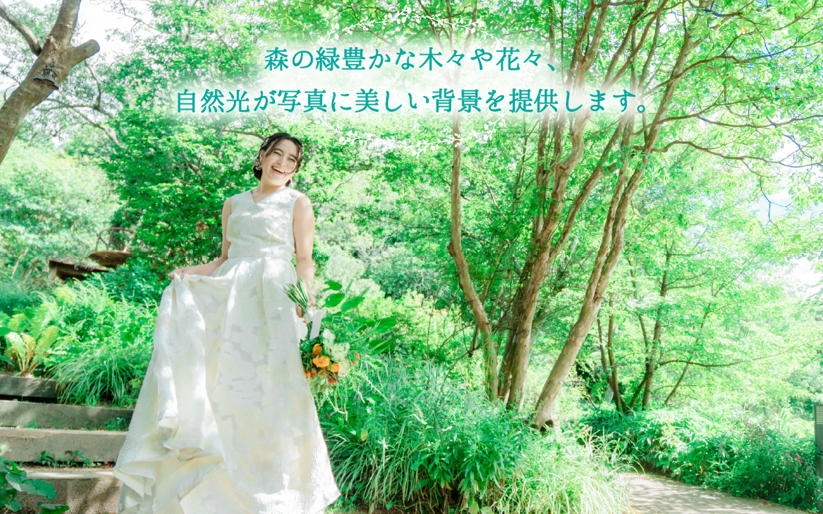 ROKKO森の音ミュージアム ウェディングフォト撮影プラン 15,000円分 / ウェディング フォト 森 ロケーション撮影 オルゴール 音色 自然 六甲山 絶景 フォトプラン ウエディング 緑 結婚