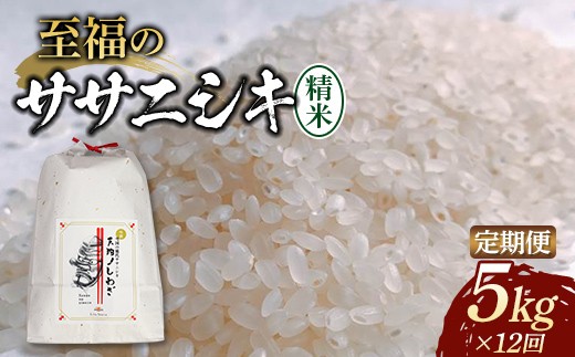 
                  【令和8年産米先行予約】（全12回定期便）至福のササニシキ 精米 5kg 米 お米 おこめ 山形県 新庄市 F3S-2851
                