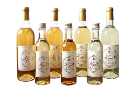 希少品種 プリンス清見を使ったみかんワイン「kiyomi」 8本