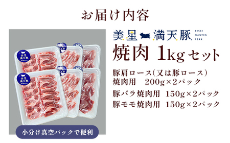 美星満天豚 焼肉 1.0kｇセット（豚肩ロース又は豚ロース、豚バラ、豚モモ）小分け真空パック