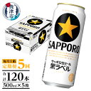 【ふるさと納税】 定期便 ビール サッポロ 黒ラベル サッポロビール 焼津 【定期便 5回】 黒ラベルビール 500ml×1箱(24缶) T0006-2005