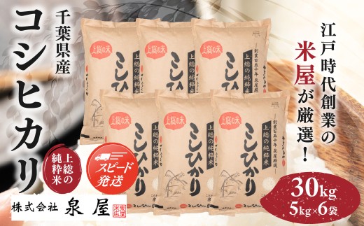 【最短2～7営業日にて出荷】令和8年度産  上総の純粋米  「コシヒカリ」  30kg (5kg×6)  【厳選】千葉県産 / KCV004 ふるさと納税 コシヒカリ こしひかり お米 米 こめ うるち米 うるち精米 千葉県 木更津市