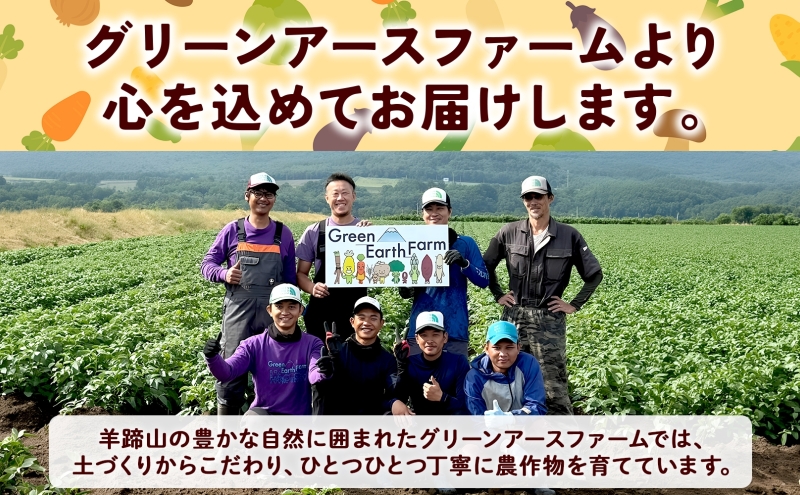 朝もぎ イエロー とうもろこし 恵味 2Lサイズ 26本 約10kg 大きめ 夏野菜 とうきび 旬 新鮮 野菜 トウモロコシ 甘い ギフト 産地直送 コーン 産直 グリーンアースファーム 送料無料 北海道 倶知安町