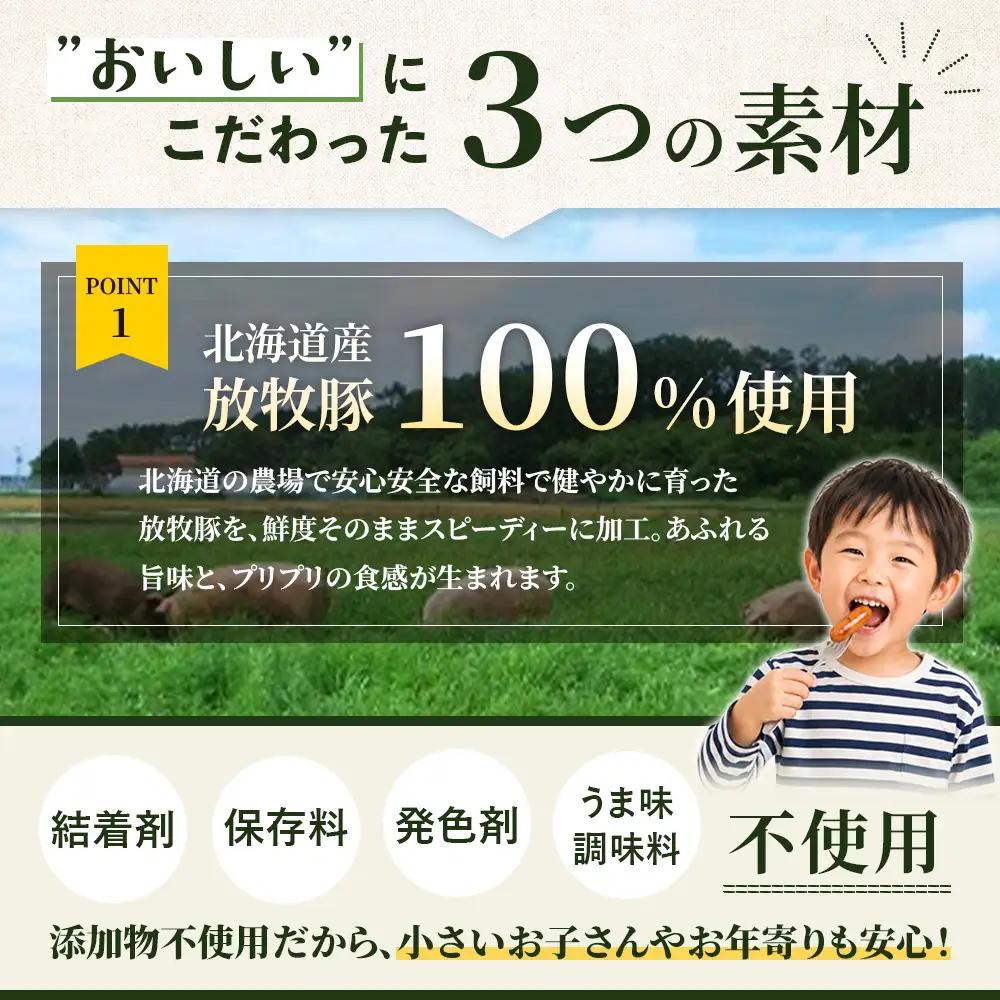 【定期便：6回】北海道産放牧豚 無添加ポークウインナー ×10パック【12004001】