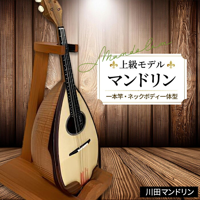 【ふるさと納税】【上級モデル】マンドリン [No.296] ／ 楽器 弦楽器 送料無料 岐阜県
