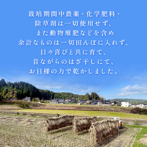 朝紫（古代米/ 紫黒米）250g×4（栽培期間中、農薬・化学肥料不使用）【こだわりの天日干し】