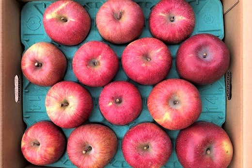 
                  りんご（ふじりんご）５ｋｇ　0007-2603
                