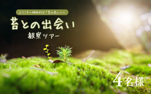 青苔荘　苔（コケ）との出会い　観察ツアー優待券　４名様用［SE-104］