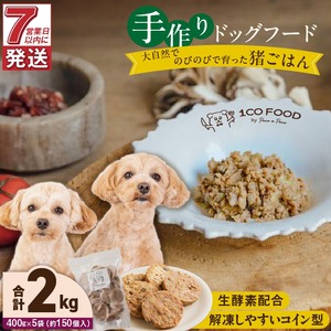 1cofood 手作りドッグフード 猪ごはん 400g×5袋 〔Pf034〕