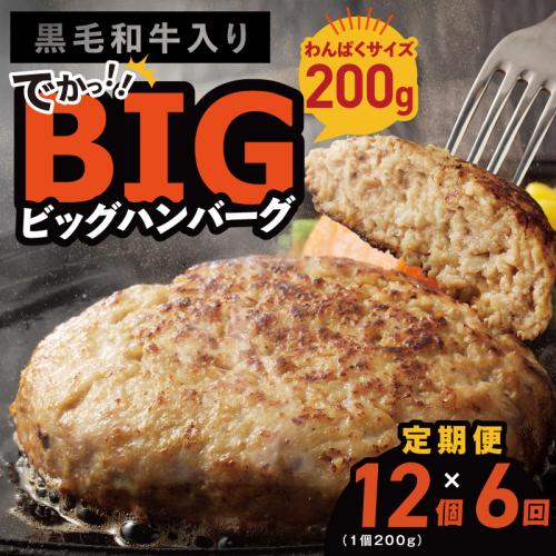 【定期便】黒毛和牛入り BIGハンバーグ（200g×12個）全6回 【毎月配送コース】 099Z413