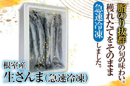 【北海道根室産】冷凍さんま20尾 A-70003