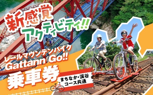 
                  【まちなか・渓谷コース共通】レールマウンテンバイクGattann Go!! 特別ご乗車券 飛騨神岡 体験 子供 キッズ チケット ガッタンゴー アクティビティ 屋外
                