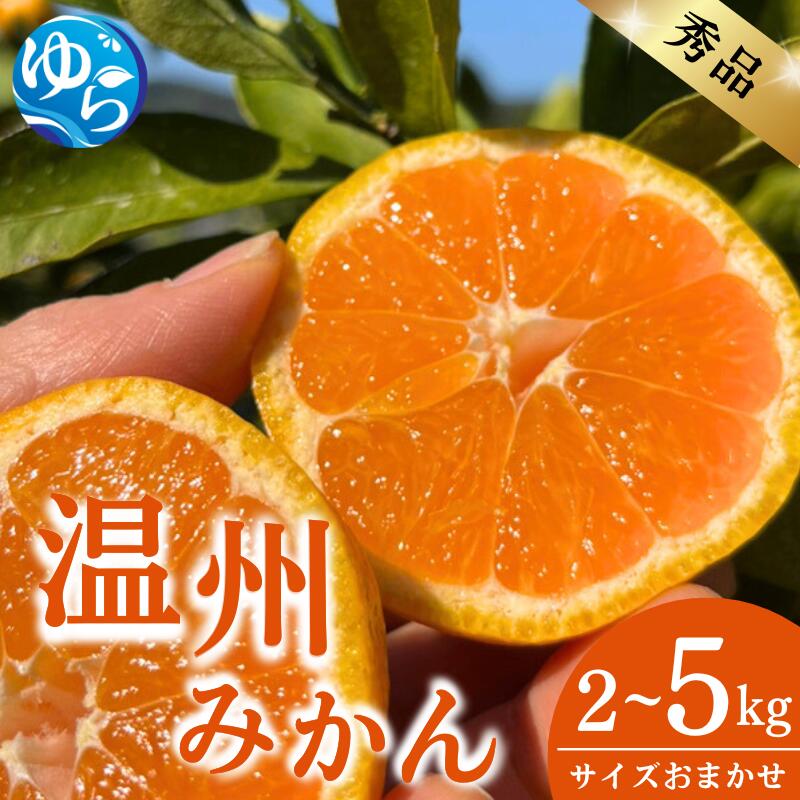 【ふるさと納税】温州みかん 秀品 2kg 5kg サイズおまかせ（S～L） / ミカン 蜜柑 温州みかん 柑橘 くだもの 産地直送 由良町 和歌山 ※2026年11月下旬～12月下旬頃に順次発送予定