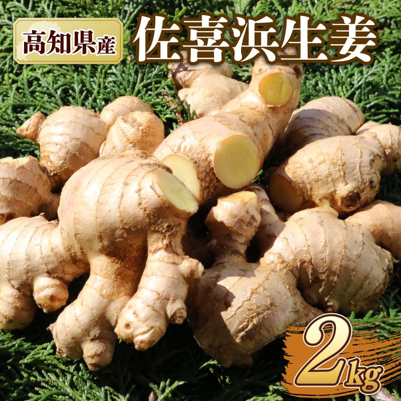 【ふるさと納税】 国産 佐喜浜生姜 約2kg 生姜 ショウガ 野菜 やさい 薬味 料理 家庭用 農家直送 旬 野菜 生姜焼き 高知県 室戸市