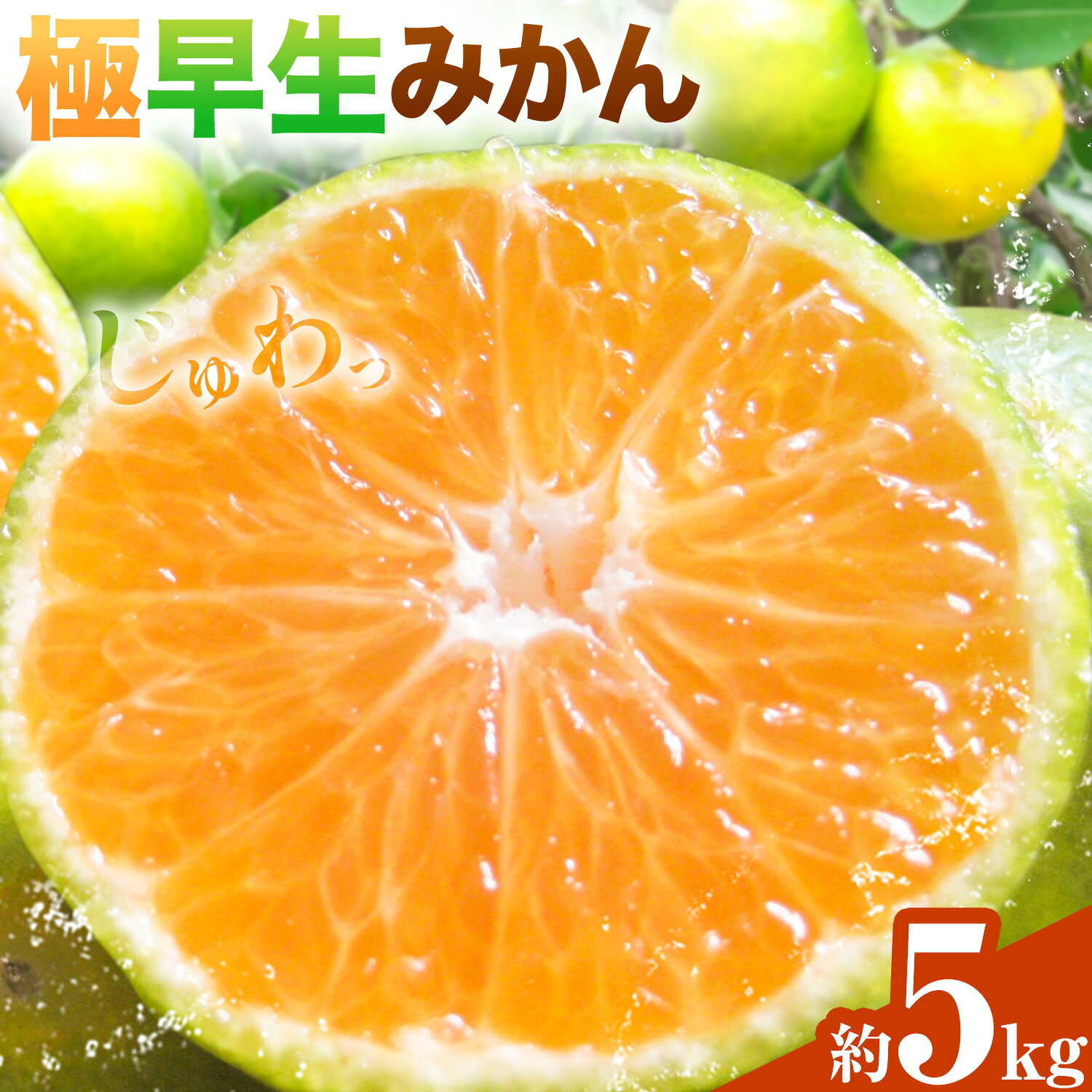 【ふるさと納税】極早生みかん 約5kg 農園誉《9月上旬-10月下旬頃出荷》和歌山県 日高川町 極早生 みかん ミカン フルーツ 果物 柑橘