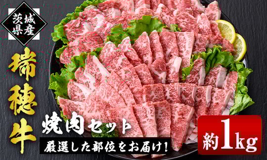 
            瑞穂牛焼肉セット 1.0Kg 牛肉 やきにく バラ 肩ロース 肩 肩バラ トモサンカク イチボ ブランド牛 冷凍配送 茨城県 お中元 焼肉の日 敬老の日 常陸牛 焼肉 盛り合わせ 食べ比べ 国産 肉 BBQ セット ho0903
          