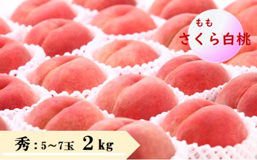 08-08-046　もも(さくら白桃)2kg