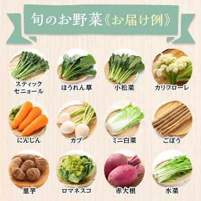 ふるさと納税 角田市 【2026年発送分先行予約】みうら農園 季節の野菜セット おまかせ7品(晩秋野菜) |  | 01