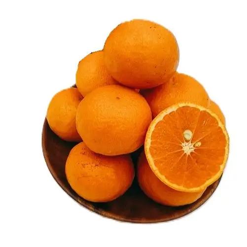【全3回】愛媛の離島「中島」産柑橘定期便 2.5kg | 甘平 せとか カラマンダリン みかん フジ・アグリフーズ 春みかん 愛媛蜜柑 愛媛ミカン みかん ミカン mikan 蜜柑 柑橘 フルーツ 【