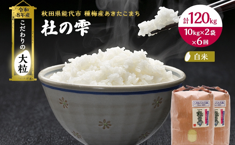 
                  新米 先行予約 令和8年産[白米]【定期便6ヶ月】秋田県産 あきたこまち 20kg(10kg×2)×6回 計120kg 「杜の雫」こだわりの大粒 種梅産【 お米 おこめ たねうめ 精米 ご飯 ごはん ブランド米 大粒 おにぎり 産地直送 能代 】
                