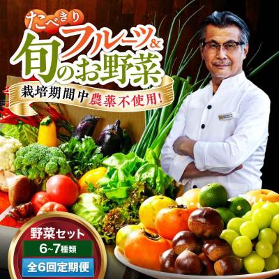 ふるさと納税 大洲市 【全6回定期便】  野菜×フルーツセット 6から7種 単身・二人暮らし用セット [AGBX049]