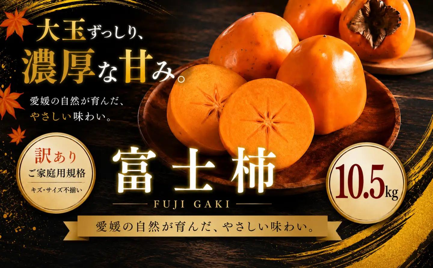 ＜訳あり 愛媛県産富士柿 合計約10.5kg＞『2026年11月上旬～12月下旬迄に順次出荷予定』かき 柿 ふじ柿 果物 くだもの フルーツ 旬 大玉 大きいサイズ 濃厚 秋の味覚 食べ応え抜群 特産品 株式会社OSN 愛媛県 西予市 【常温】OOS0079