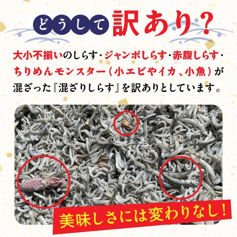 訳あり 3kg！バラエティ豊富な三河しらす H018-069