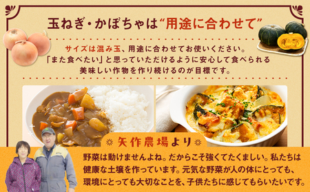 【先行受付】R8年産 有機栽培玉ねぎ・かぼちゃセット 合計20kg | 玉ねぎ たまねぎ タマネギ 玉葱 かぼちゃ カボチャ 南瓜 セット 詰め合わせ 大容量 オニオン パンプキン 甘い 有機栽培 国